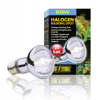 Exo Terra Halogen Basking Spot E27 - Verlichting - 50 Watt Daylight