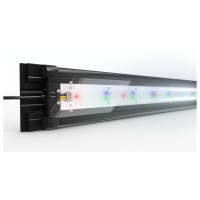 Juwel Helialux Spectrum Tube - Verlichting - 534 mm 2900 Lumen