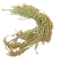 Jr Farm Parel Gierst - Vogelvoer - 14x5.5x30 cm 100 g
