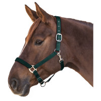 Waldhausen Halster Satin Donkergroen - Paardenhalster - Cob Satin