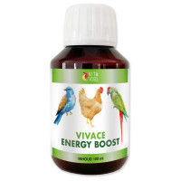 Vita Vogel Vivace Energy Boost - Vogelsupplement - 100 ml