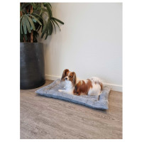 Adori Benchmat Oriana - Hondenbenchkussen - 75x46 cm Grijs