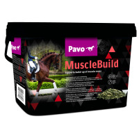 Pavo Musclebuild - Voedingssupplement - 3 kg