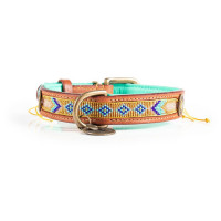 Dwam Halsband Indi Moon Goud&Turquoise - Hondenhalsband - 29-39x2.5 Cm