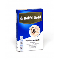 Bolfo Gold hond 250 - 2 pipet