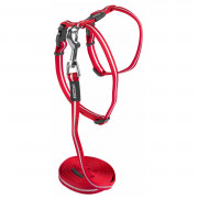 Rogz Alleycat Tuigje Met Looplijn Rood - Kattenharnas - Small 24-40 Cm
