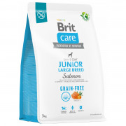 Brit Care Dog Grain-Free Junior Large Breed Zalm - Hondenvoer - 3 kg