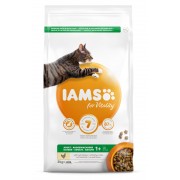 3 kg Iams Cat Adult Chicken