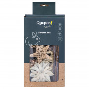 Quapas! Nibble Giftbox Stars & Balls - Speelgoed - 150 g L