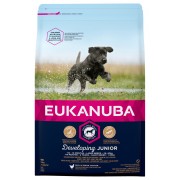 15 kg Eukanuba Junior Large