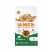 3 kg Iams Cat Adult Lamb