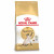 Royal Canin Siamese Adult - Kattenvoer - 4 kg