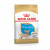 Royal Canin Chihuahua - Puppy-Hondenvoer - 1.5 kg