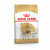 Royal Canin Pug (Mopshond) Adult - Hondenvoer - 1.5 kg