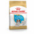 Royal Canin Cavalier King Charles - Puppy-Hondenvoer - 1.5 kg