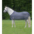 Waldhausen Basis Vliegendeken Blauw - Anti insect - 175