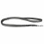 Petlando Trainingslijn Mesh Antraciet - Hondenriem - 300x3 cm