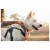 Ruffwear Front Range Collar - Hondenhalsband - Donkergrijs 51-66 Cm