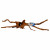 Superfish Spiderwood Bruin - Aquarium - Ornament - Xlarge