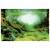 Superfish Deco Poster - Aquarium - Ornament - 100X49 cm Aquascape Plant