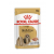 Royal Canin Shih Tzu Adult Natvoer - Hondenvoer - 12x85 g