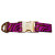 Dogguo Zebra Collar Paars&Bruin - Hondenhalsband - 42-68 cm