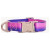Dogguo Gradient Collar Paars&Roze - Hondenhalsband - Xs Kleinste Honden