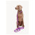 Dogguo Gradient Leash - Hondenriem - 23 cm Paars Roze Voor Kleine Honden S