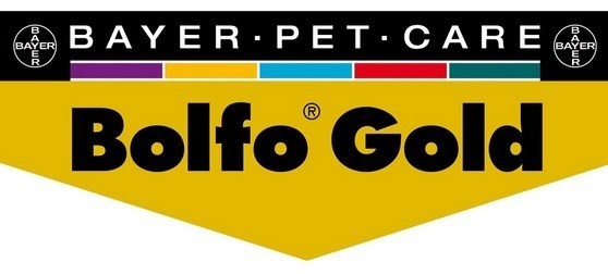 Bolfo Gold Kat